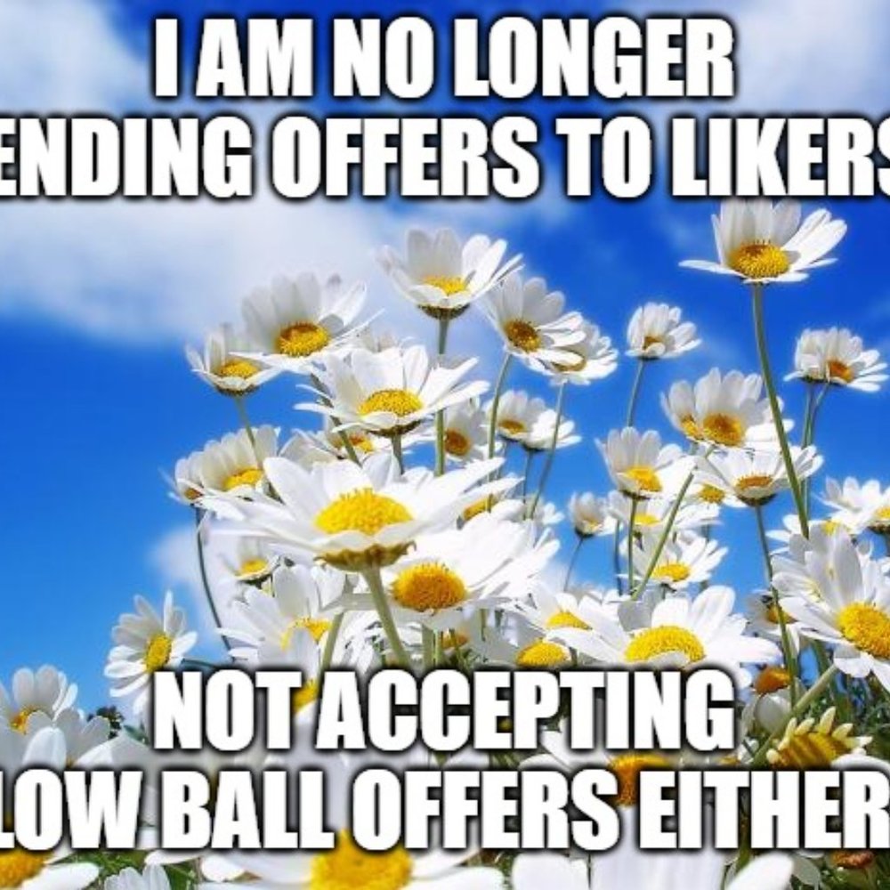 Meet your Posher, Patricia